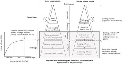 Methods and Strategies for Reconditioning Motor Output and Postural Balance in Frail Older Subjects Prone to Falls